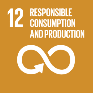E SDG goals icons individual rgb 12 1 • Eat Blue™