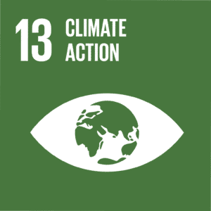 E SDG goals icons individual rgb 13 1 • Eat Blue™