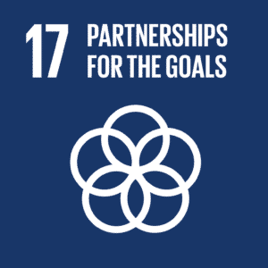 E SDG goals icons individual rgb 17 • Eat Blue™