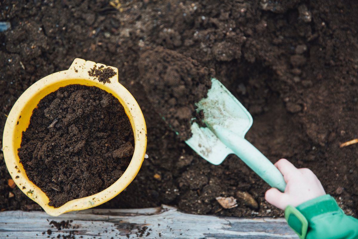 gardening bucket and shovel