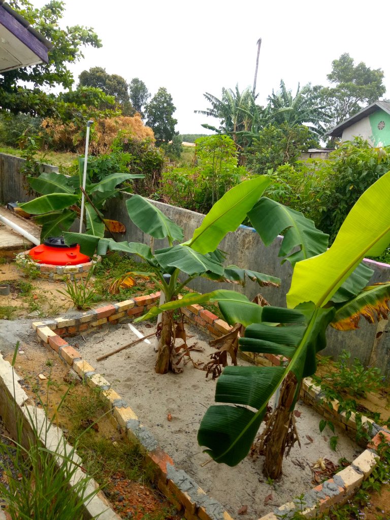 Garden 2 copy • Eat Blue™