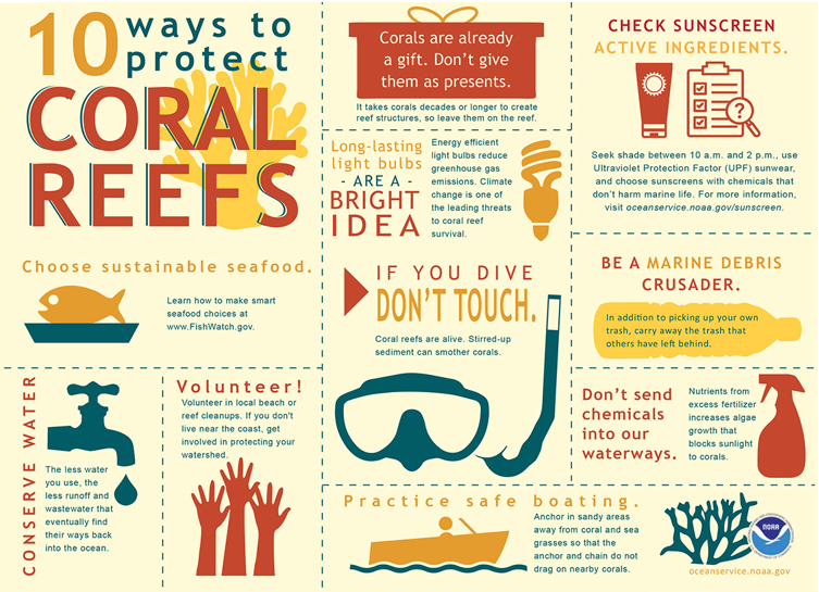 10 ways to protect coral reefs