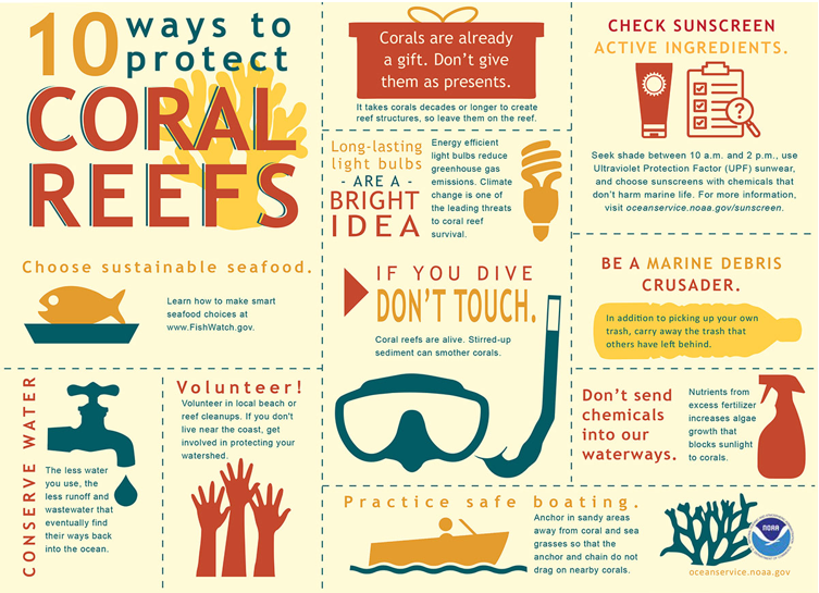 10 Ways to protect Coral reefs