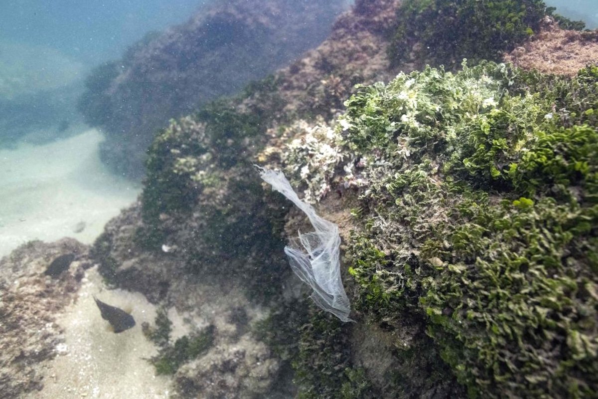 plastic-bag-ocean